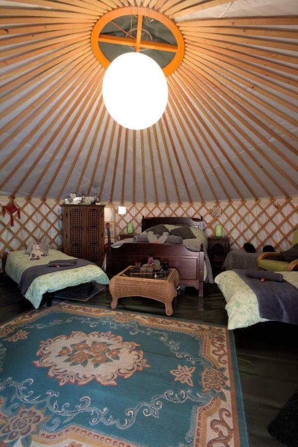 Sturry Magical Forest Yurt מראה חיצוני תמונה