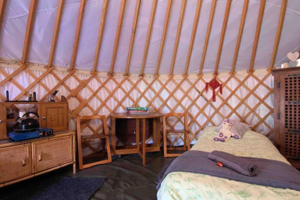 Sturry Magical Forest Yurt מראה חיצוני תמונה
