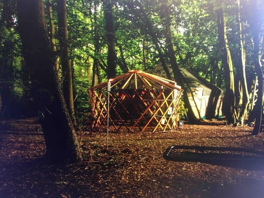 Sturry Magical Forest Yurt מראה חיצוני תמונה