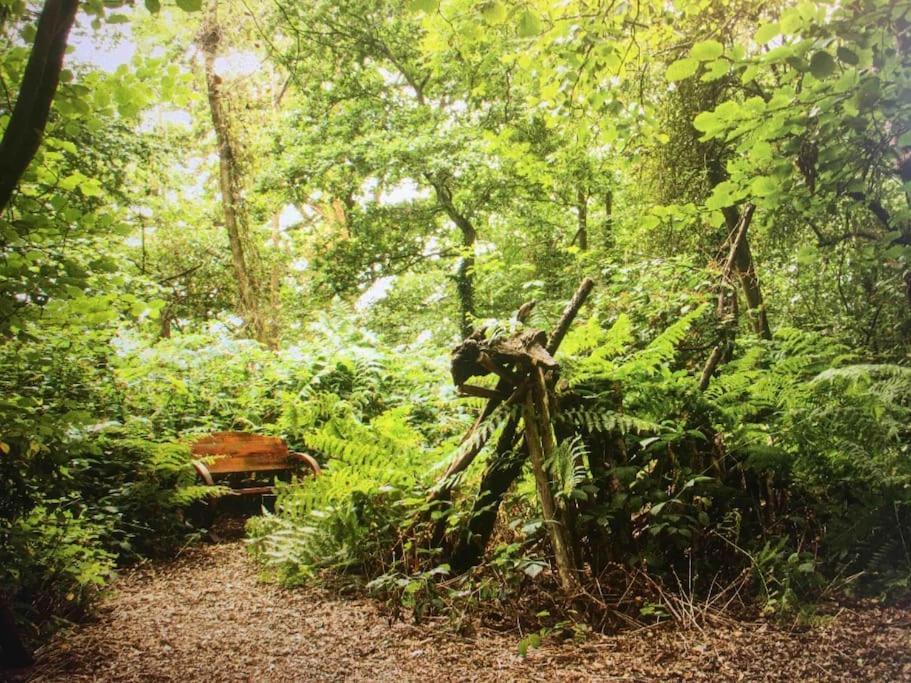 Sturry Magical Forest Yurt מראה חיצוני תמונה