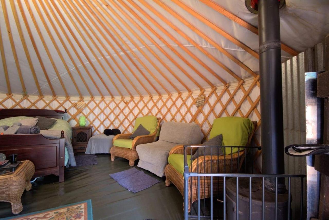 Sturry Magical Forest Yurt מראה חיצוני תמונה
