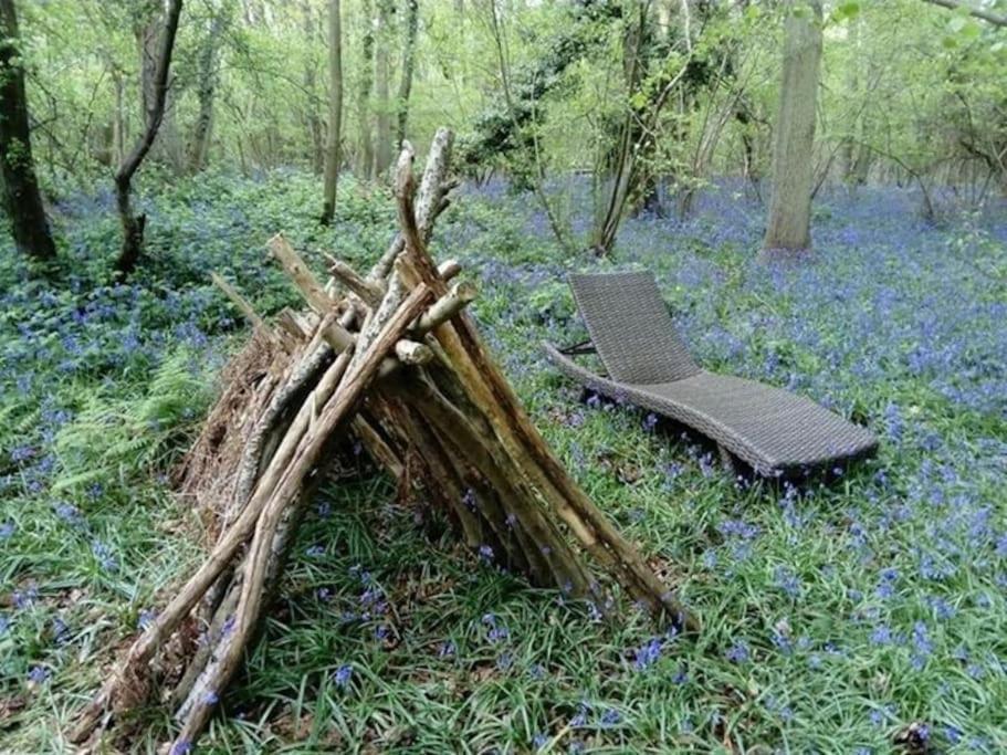 Sturry Magical Forest Yurt מראה חיצוני תמונה