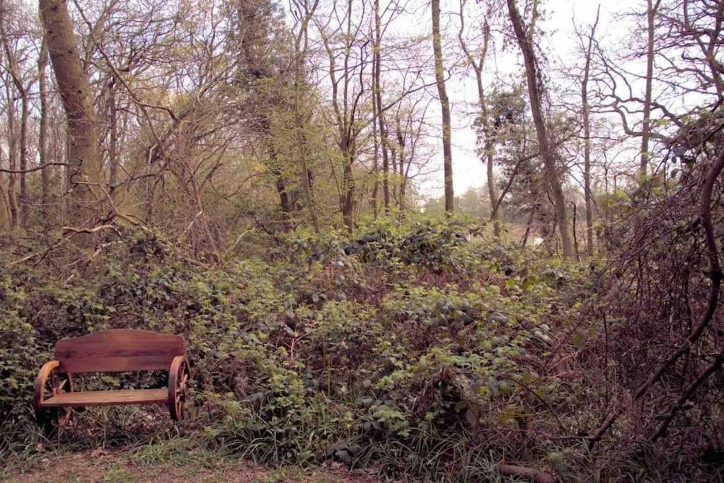 Sturry Magical Forest Yurt מראה חיצוני תמונה