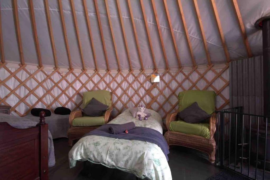 Sturry Magical Forest Yurt מראה חיצוני תמונה