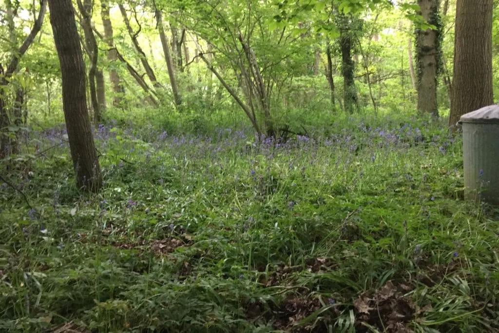 Sturry Magical Forest Yurt מראה חיצוני תמונה